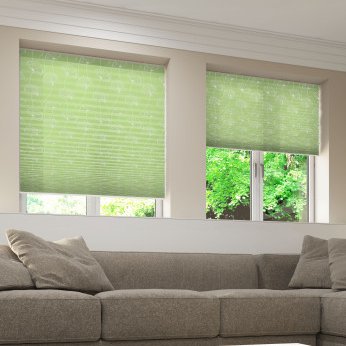 Grüne Plissees am Fenster über der Couch